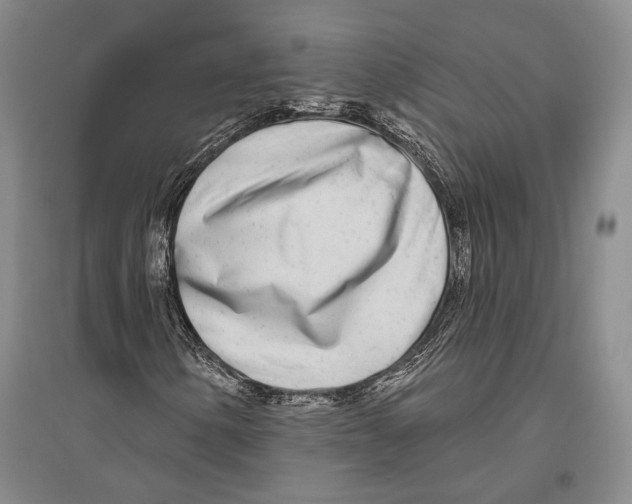 X0000096451154200802211227