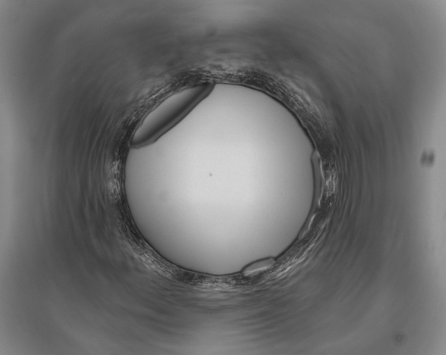 X0000096451156200802211227