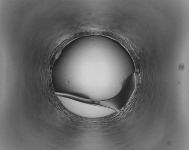 X0000096451157200802211227