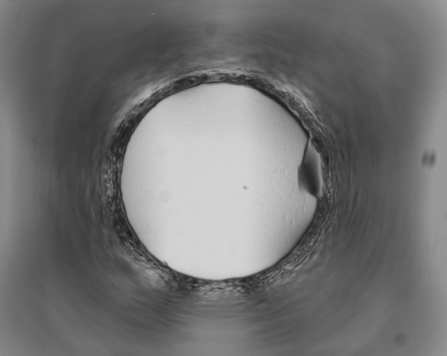 X0000096451159200802211227