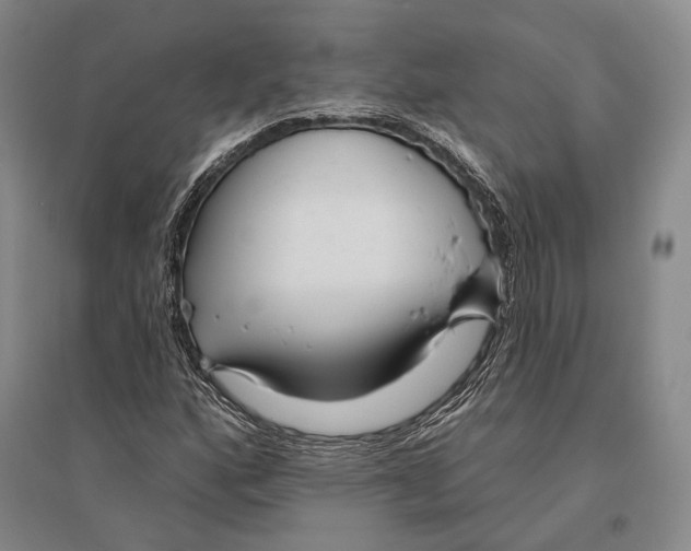 X0000096451160200802211227