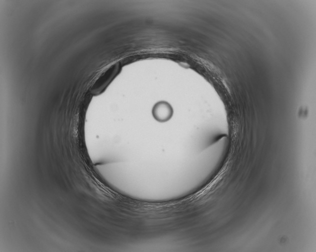 X0000096451161200802211227