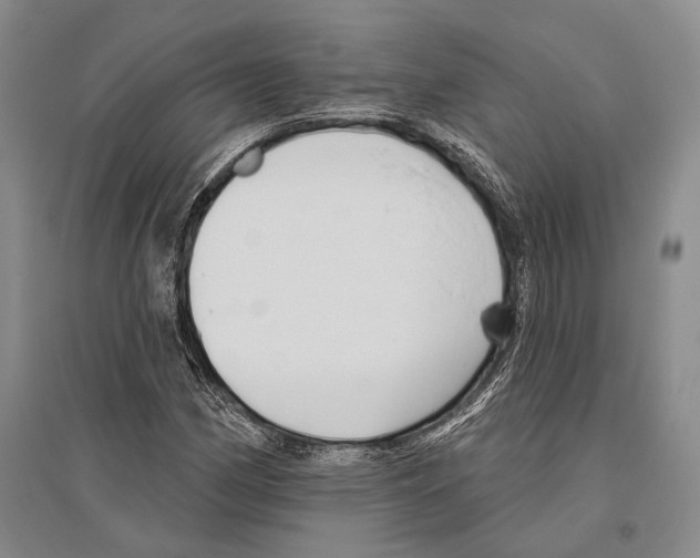 X0000096451162200802211227