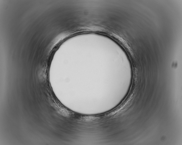 X0000096451163200802211227