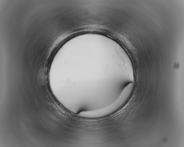 X0000096451164200802211227