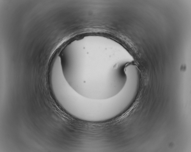 X0000096451165200802211227