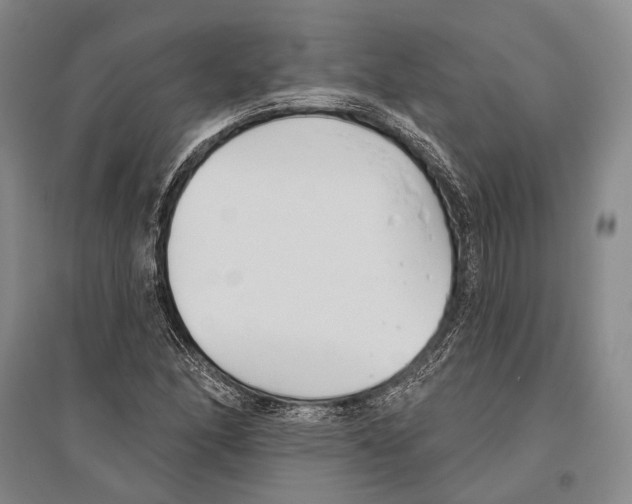 X0000096451166200802211227