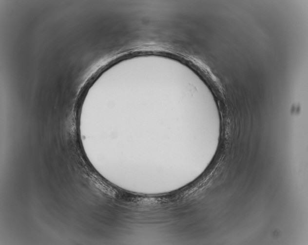 X0000096451167200802211227