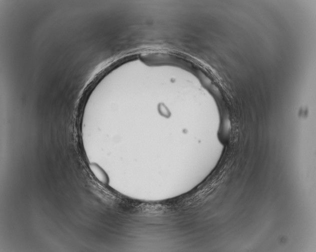 X0000096451168200802211227