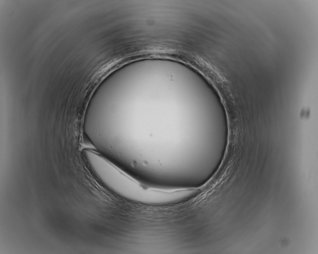 X0000096451169200802211227