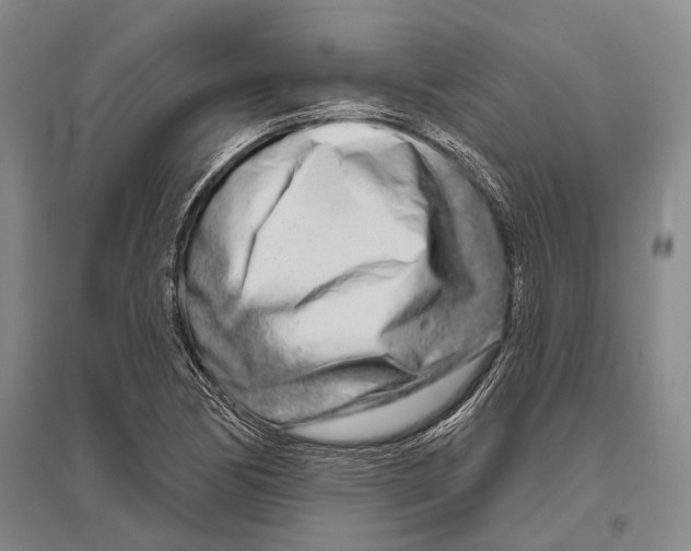 X0000096451170200802211227