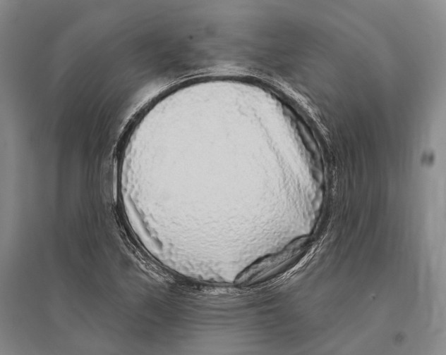 X0000096451171200802211227