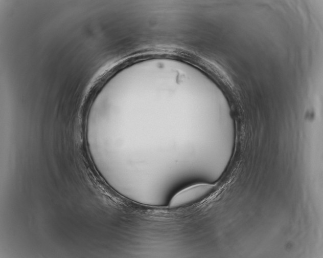 X0000096451172200802211227