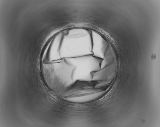 X0000096451174200802211227