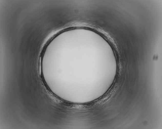 X0000096451175200802211227