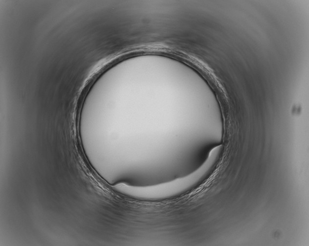 X0000096451176200802211227