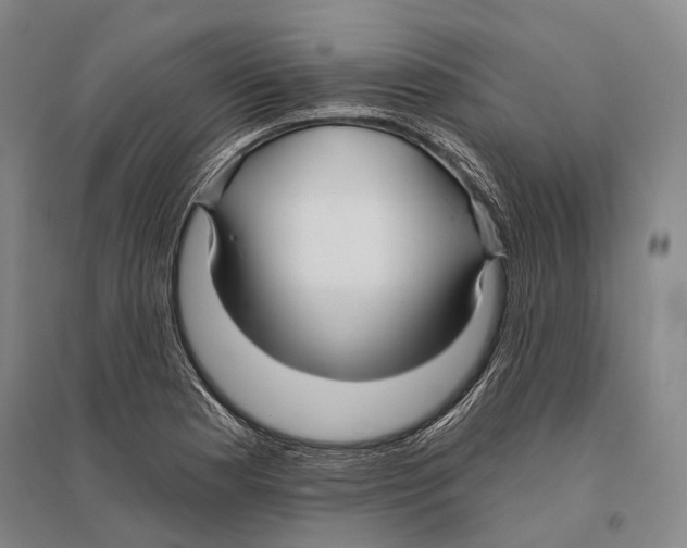 X0000096451177200802211227