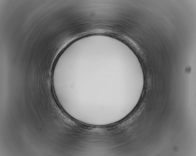 X0000096451178200802211227