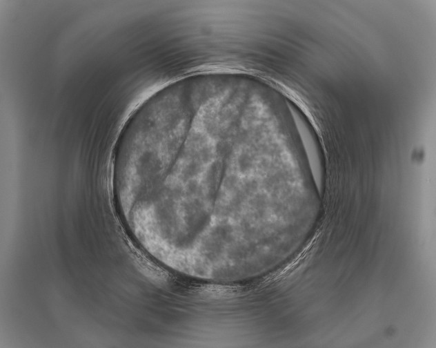 X0000096451179200802211227