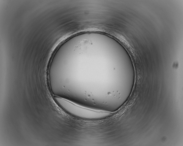 X0000096451181200802211227