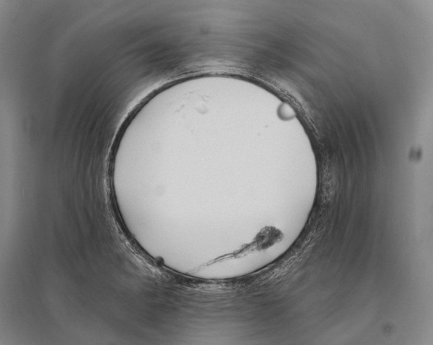 X0000096451182200802211227