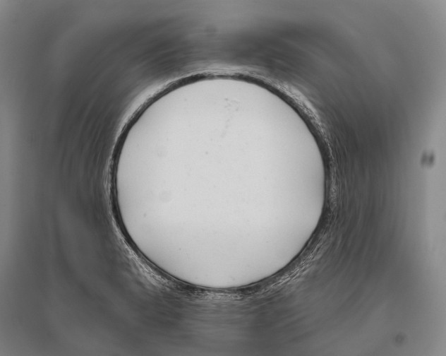 X0000096451183200802211227