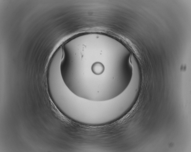 X0000096451184200802211227