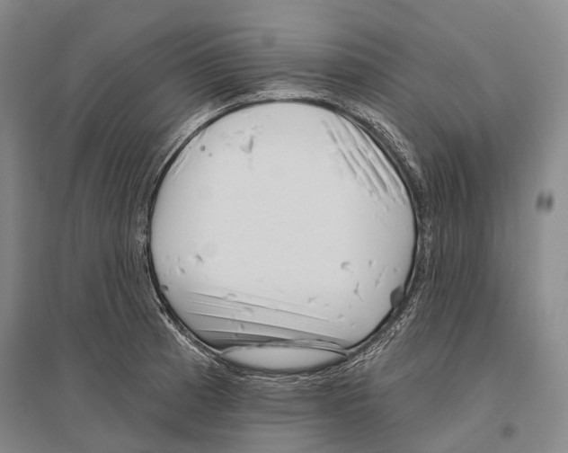 X0000096451185200802211227