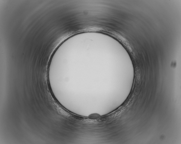 X0000096451186200802211227