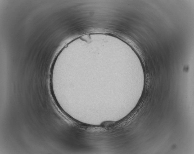 X0000096451187200802211227