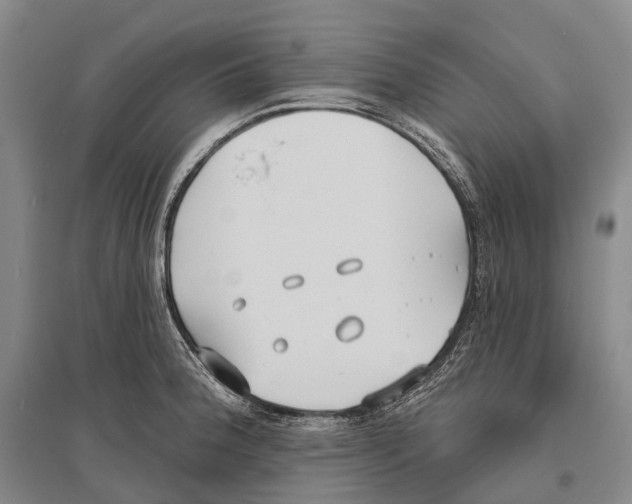 X0000096451188200802211227