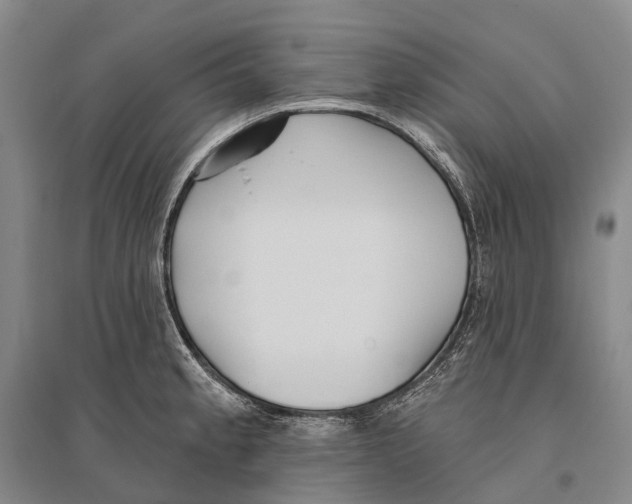 X0000096451189200802211227