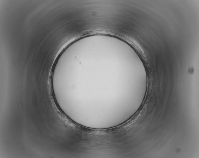 X0000096451190200802211227