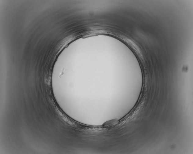 X0000096451193200802211227