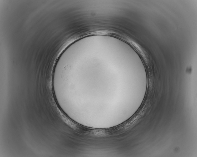 X0000096451194200802211227