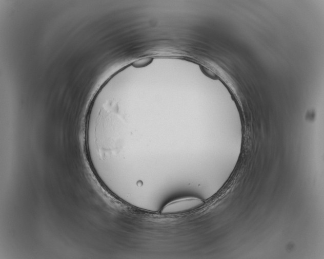 X0000096451195200802211227