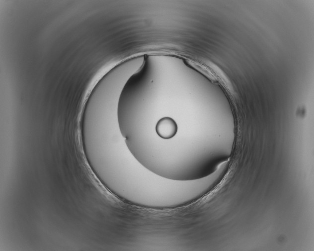 X0000096451196200802211227