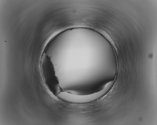 X0000096451197200802211227