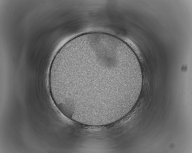 X0000096451199200802211227