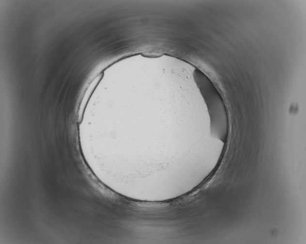 X0000096451200200802211227