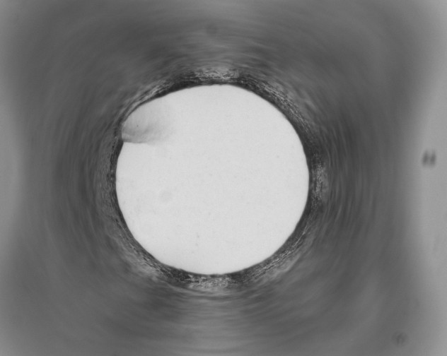 X0000096451201200802211226