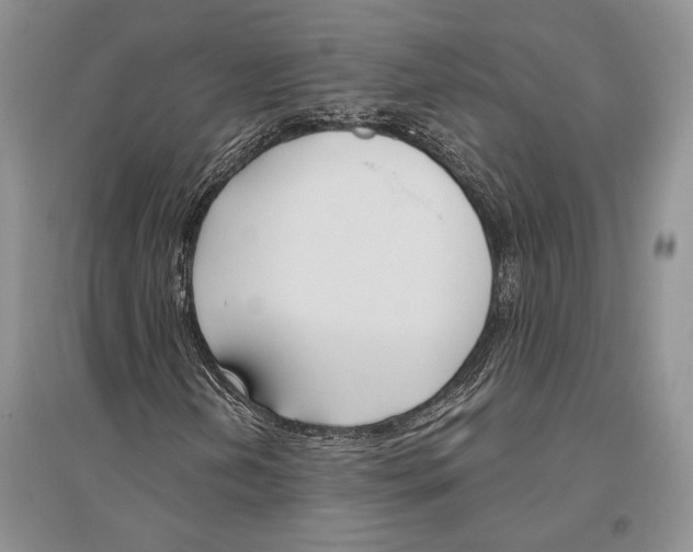 X0000096451202200802211226