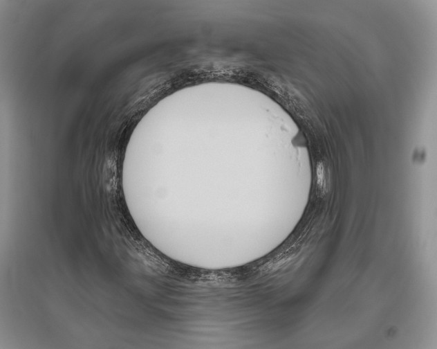 X0000096451203200802211226