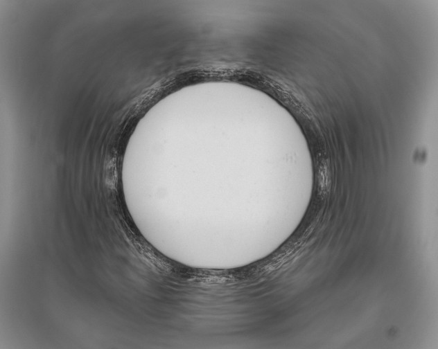 X0000096451204200802211226