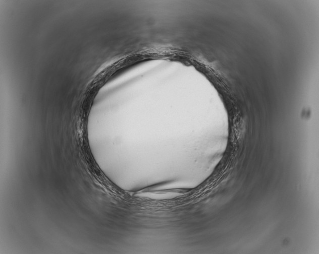 X0000096451206200802211226