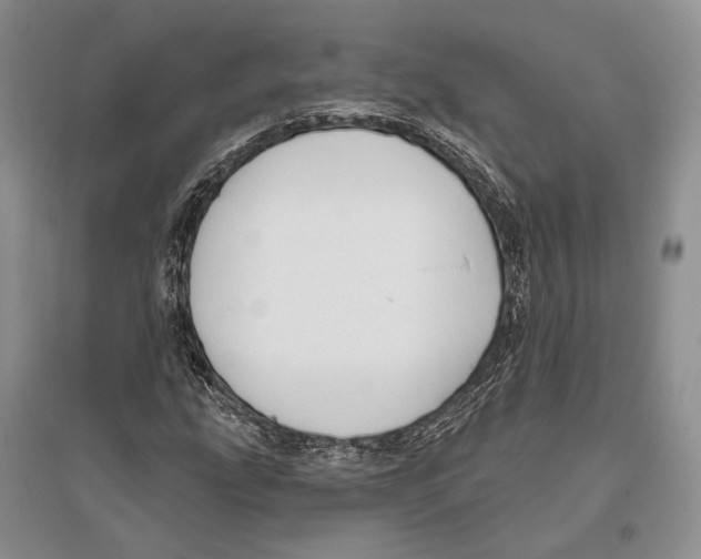 X0000096451207200802211226