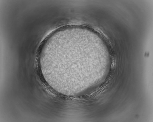 X0000096451208200802211226