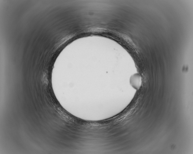 X0000096451209200802211226