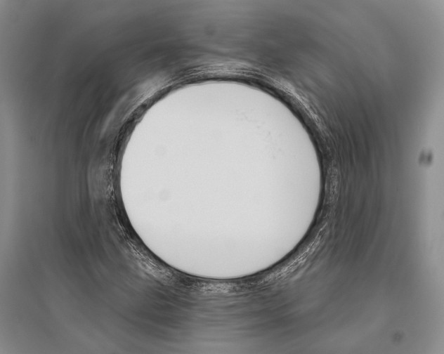 X0000096451211200802211226