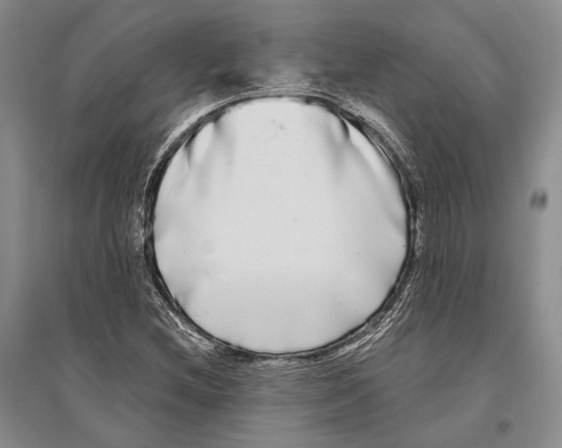 X0000096451212200802211226